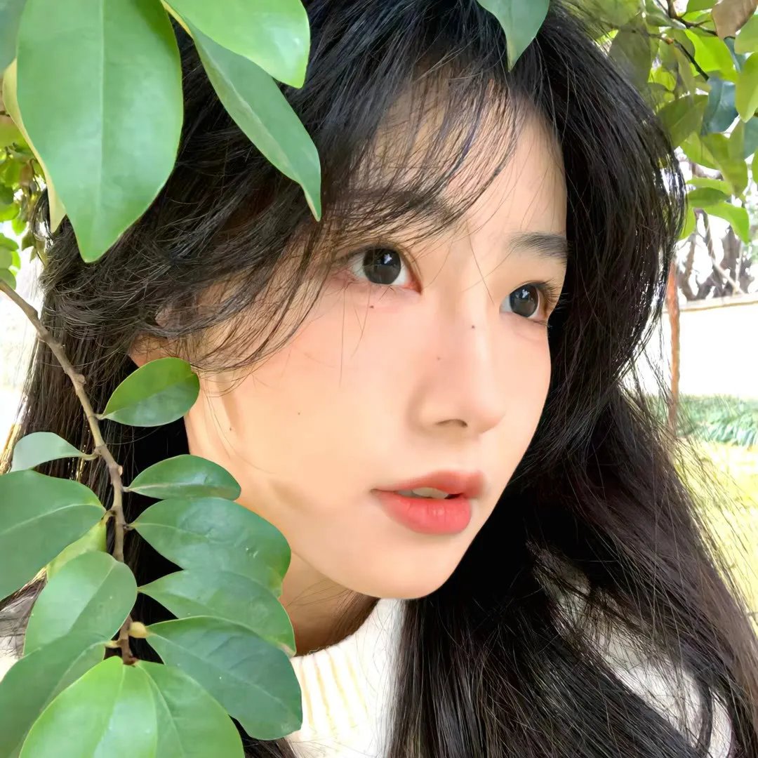 警戒之眼